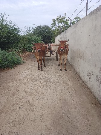 थंबनेल 2