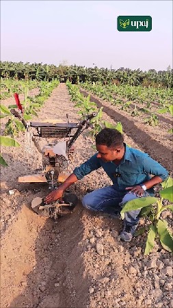 પ્લોટ ભાડે આપવાનો છે