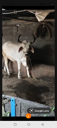 थंबनेल 3