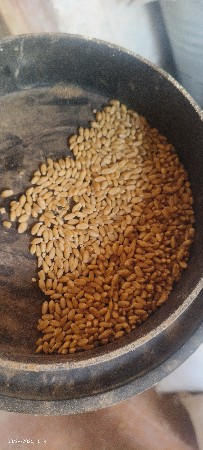 ઘઉં વેચવાના છે