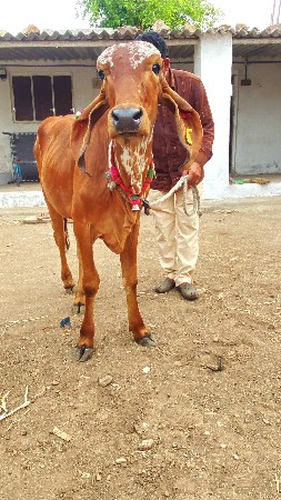 थंबनेल 3