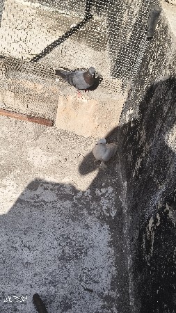 થંબનેલ 3