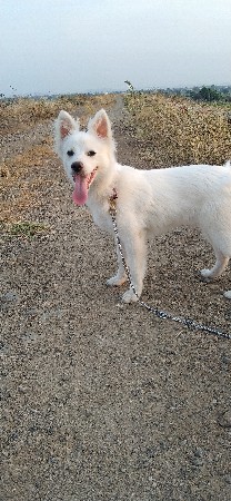 meting mate contact kro