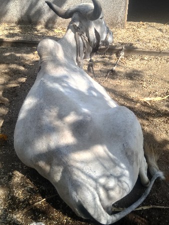 થંબનેલ 3