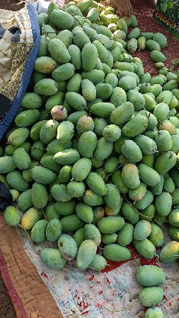 Kesar keri