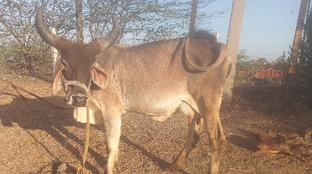 थंबनेल 2