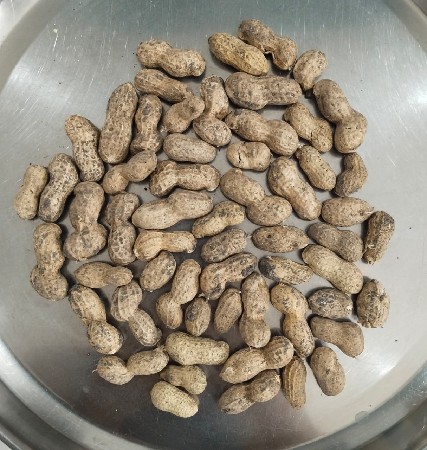 ૩૯ નંબર ની મગફળી વેચવાની છે.