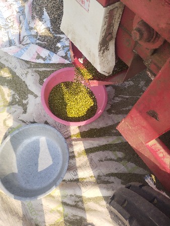 mag,adad,chori made....