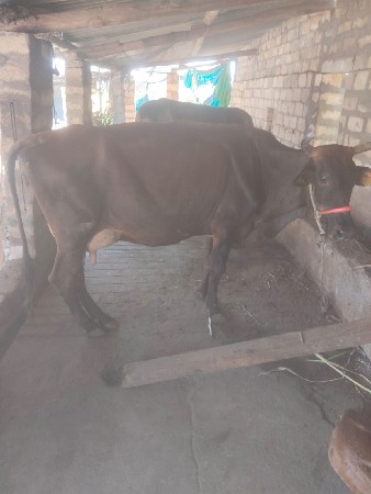 थंबनेल 3