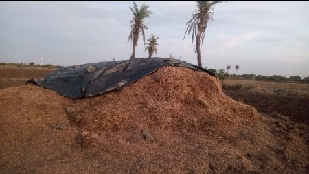 G-20 માંડવી નો લિલવો કોરો ભૂકો