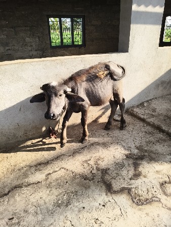 थंबनेल 2