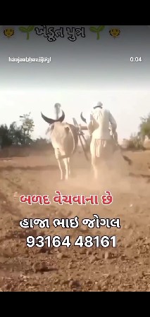 थंबनेल 3