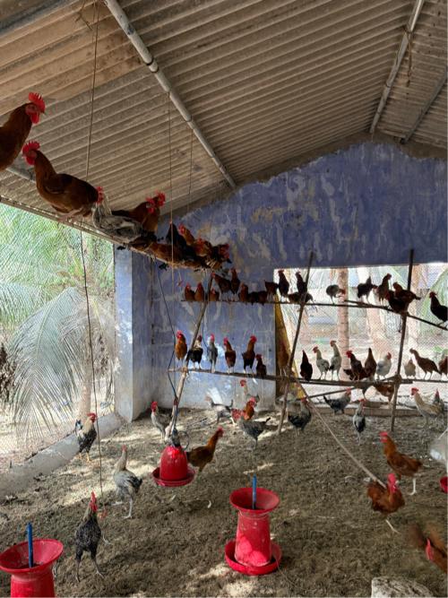 थंबनेल 2