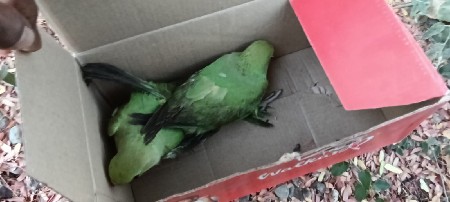 વેચવાના છે