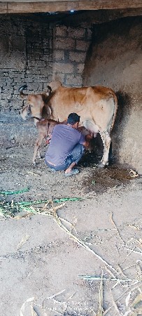 થંબનેલ 4