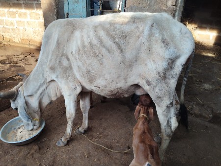 थंबनेल 2