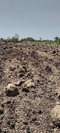 લાલ પત્થર