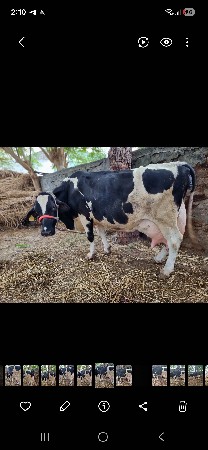 થંબનેલ 3