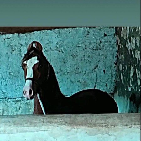 थंबनेल 2