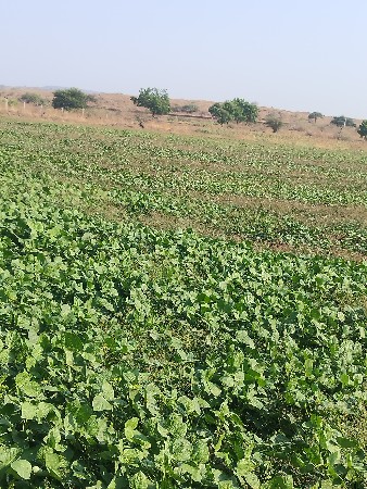 ખાતેદાર  માટે