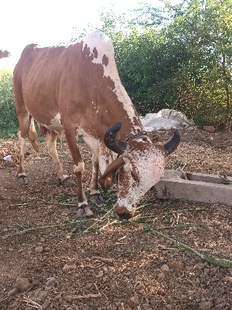 બુટાવદર ગામ જીલ્લો જામનગર