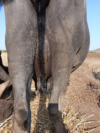 थंबनेल 2