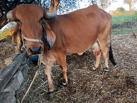 थंबनेल 2