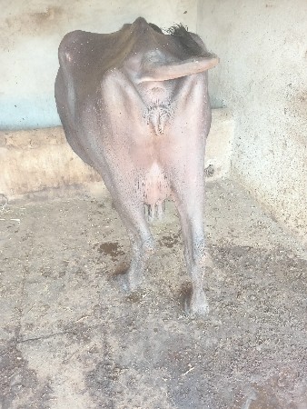 थंबनेल 2