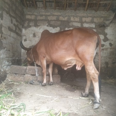 थंबनेल 2