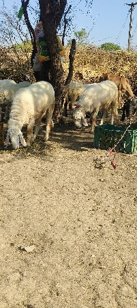 थंबनेल 2