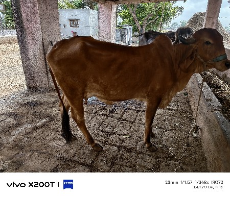 थंबनेल 2