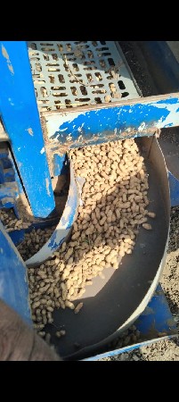 ડબોવેસવાનો સે