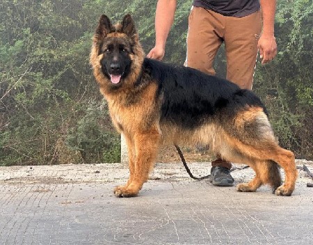 થંબનેલ 2