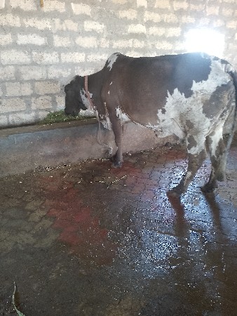 थंबनेल 5