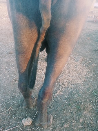 थंबनेल 3