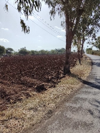 વિશ્વની સે