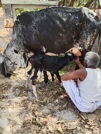 थंबनेल 3