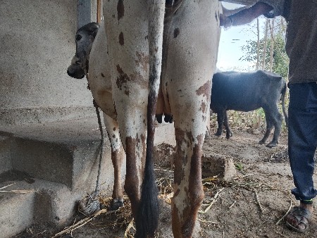 थंबनेल 2