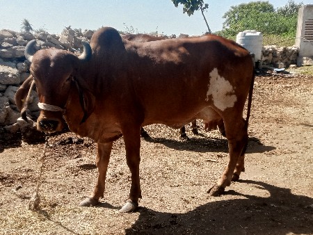 थंबनेल 2