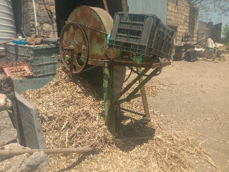 મસીન