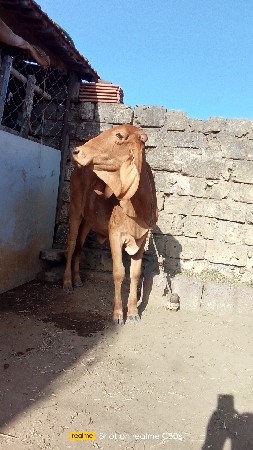 थंबनेल 3