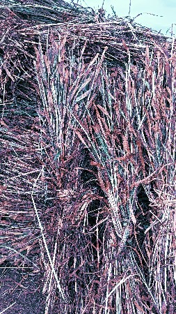 थंबनेल 1