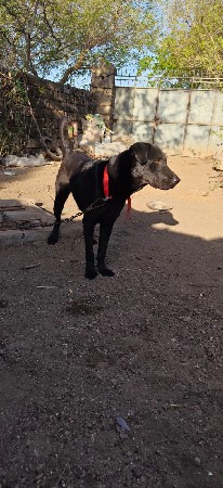 थंबनेल 3