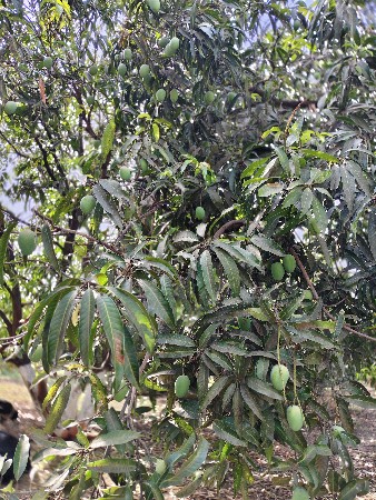 थंबनेल 2