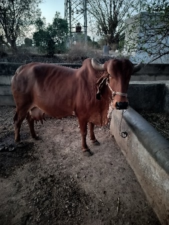 थंबनेल 2