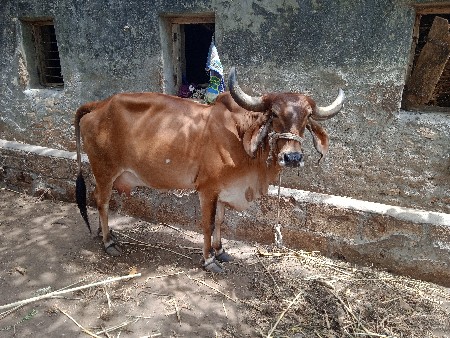 थंबनेल 3