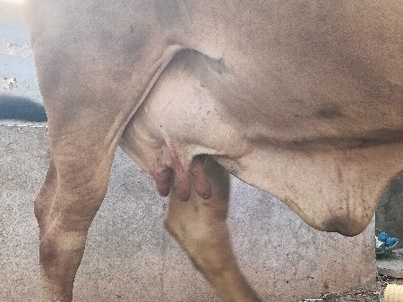 થંબનેલ 3