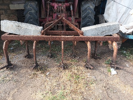 દાટી (નવ્યા )