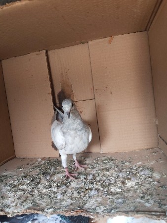 थंबनेल 3