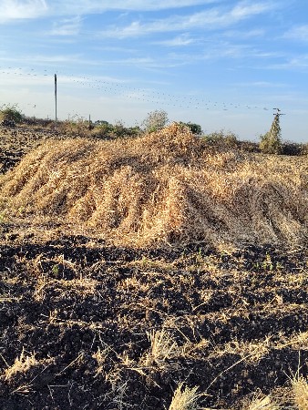 જાર ના પૂરા વેચવાના છે